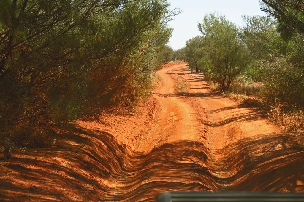 Anne Beadell Highway