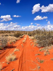 Follow the designated tracks